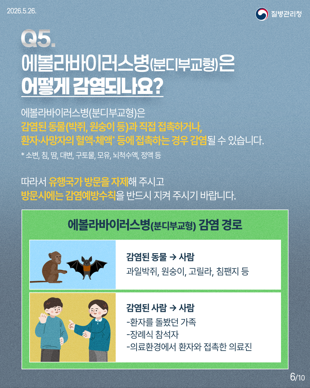 Q5. 에볼라바이러스병(분디부교형)은 어떻게 감염되나요? / 에볼라바이러스병(분디부교형)은 감염된 동물(박쥐, 원숭이 등)과 직접 접촉하거나, 환자·사망자의 혈액·체액 등에 접촉하는 경우 감염될 수 있습니다. * 소변, 침, 땀, 대변, 구토물, 모유, 뇌척수액, 정액 등 / 따라서 유행국가 방문을 자제해 주시고 방문시에는 감염예방수칙을 반드시 지켜 주시기 바랍니다. / 에볼라바이러스병(분디부교형) 감염 경로 / 감염된 동물 → 사람 / 과일박쥐, 원숭이, 고릴라, 침팬지 등 / 감염된 사람 → 사람 / -환자를 돌봤던 가족 -장례식 참석자 -의료환경에서 환자와 접촉한 의료진