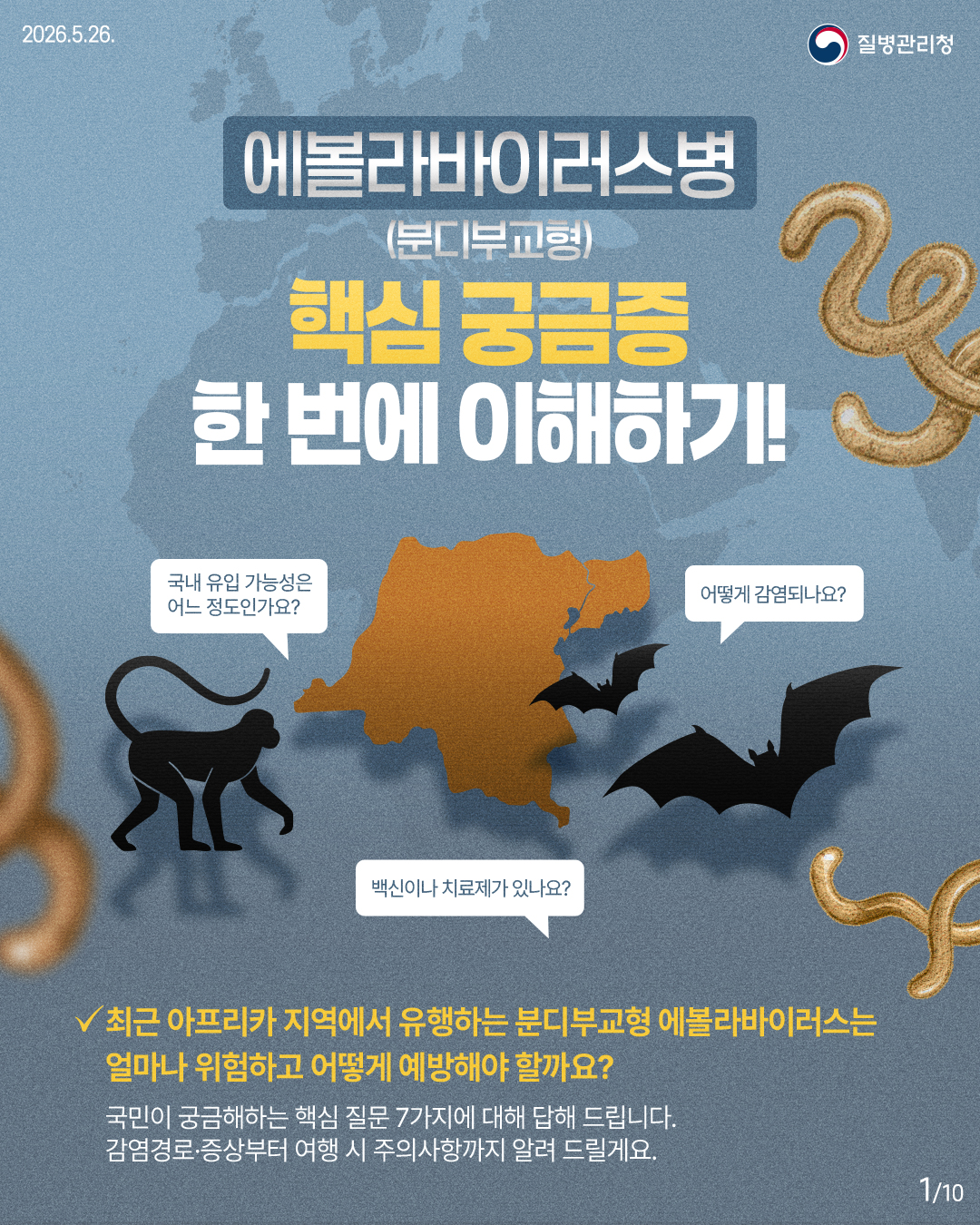 2026.5.26. / 질병관리청 / 에볼라바이러스병 (분디부교형) 핵심 궁금증 한 번에 이해하기! / 국내 유입 가능성은 어느 정도인가요? / 어떻게 감염되나요? / 백신이나 치료제가 있나요? / 최근 아프리카 지역에서 유행하는 분디부교형 에볼라바이러스는 얼마나 위험하고 어떻게 예방해야 할까요? / 국민이 궁금해하는 핵심 질문 7가지에 대해 답해 드립니다. / 감염경로·증상부터 여행 시 주의사항까지 알려 드릴게요.