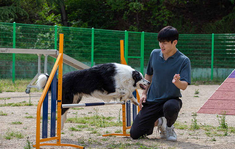 펫케어전공 학과사진