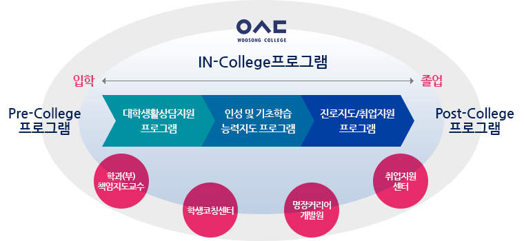 우송정보대학 IN-College 프로그램 / 입학(Pre-College 프로그램)부터 졸업(Post-College 프로그램)까지 (대학생활상담지원 프로그램, 인성 및 기초학습 능력지도 프로그램, 진로지도/취업지원 프로그램) (학과/부 책임지도교수, 학생코칭센터, 명장커리어 개발원, 취업지원센터)