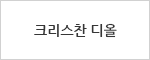 크리스찬 디올